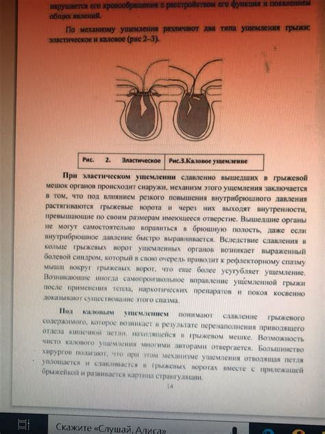 Копростаз: определение, причины и симптомы