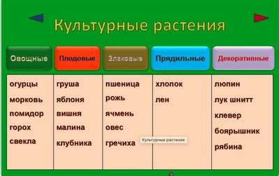 Коренастая девушка: культурные влияния и современное значение