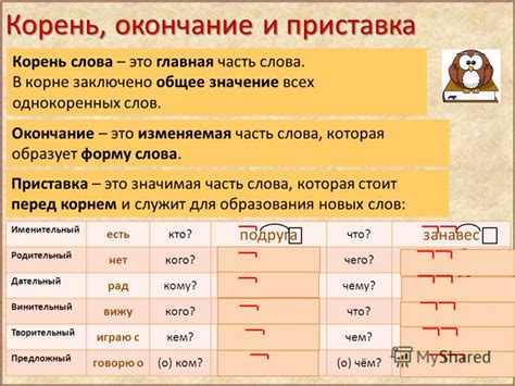 Корень слова: его значение и функции в русском языке