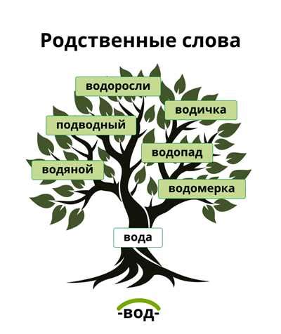 Корень слова: его роль и значение в морфологическом анализе