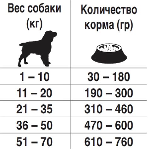 Кормление щенков: оптимальный момент и правила