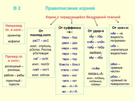 Корни слов: значение, типы, примеры