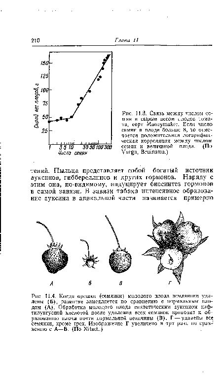 Корреляция между пылающим фруктом и электрическим прибором в превращающихся мирах сновидений