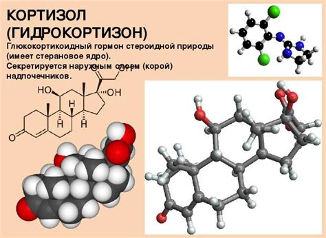 Кортизол 326: значение и общее описание вещества