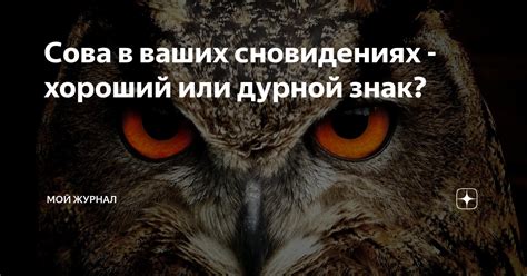 Кошачьи репрезентации в мужских сновидениях: знак прозрения или естественное явление?