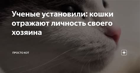 Кошка отмечает важность хозяина