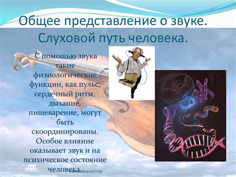 Красота в звуке и ритме: влияние музыки на стихотворение