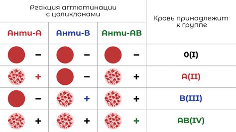 Краткое описание групп А и Б