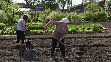 Краткое определение медианного дохода