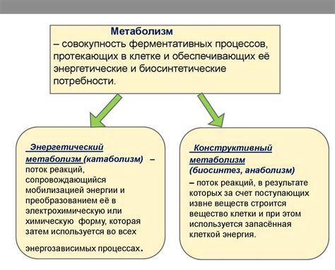 Креатин и энергетический метаболизм