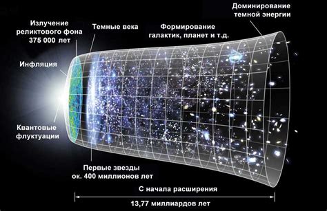 Критика и споры вокруг использования слова "муф"