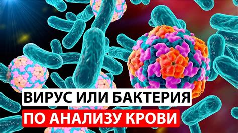 Кровавый пот: инфекции и вирусы