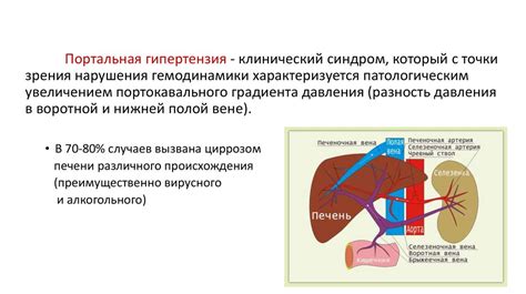 Кровотечение из пищевода: следствие расширенных вен