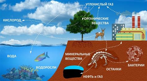 Круговорот природных явлений