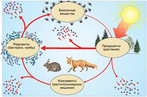 Крушительная роль в экосистеме