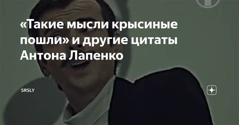 Крысиные мысли и социальные сети