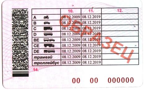 Кто может получить категорию B1 и что это дает?