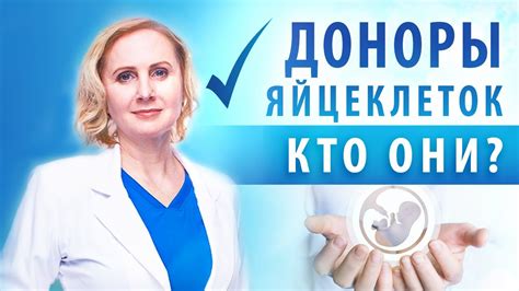 Кто может продавать свои яйцеклетки