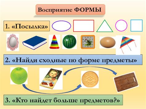 Кто найдет больше предметов в лесу?