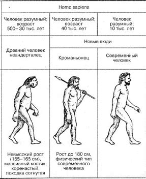 Куингулинус: определение и происхождение