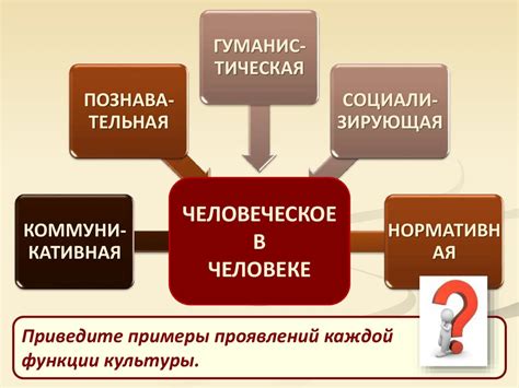 Культура: понятие и определение