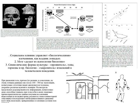 Культурное и социальное поведение Homo sapiens