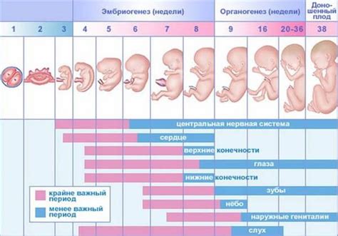 Культурно-исторический аспект явлений сновидений о рождении девочки в период беременности