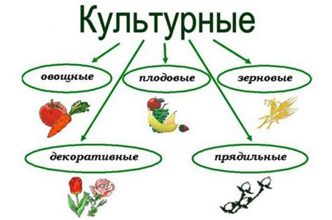 Культурные аналоги и переводы