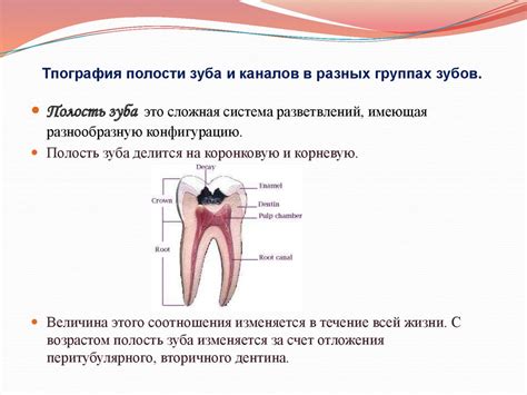 Культурные особенности и толкования символики зуба в сновидениях