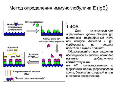 Кумбс и его реакция на непрямую гель-фильтрацию