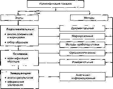 Купирование эит: значение и суть процесса