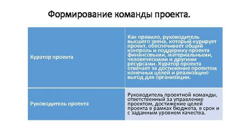 Куратор как руководитель команды