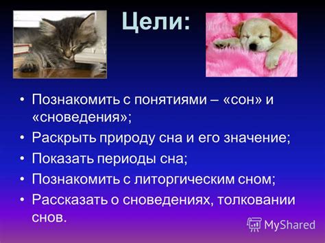 К кому обратиться, чтобы разрешить сомнения о толковании сна о взятии питомца из спасательного центра?