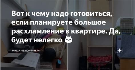 К чему готовиться в реальности, если приснился опасный пресмыкающийся?