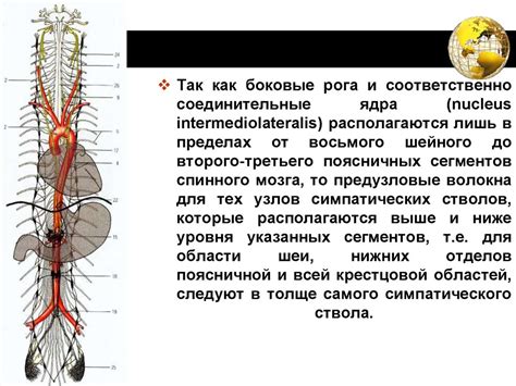 Лабильная нервная система: причины и симптомы