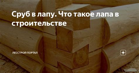 Лапа в полуразвернутом положении: что означает