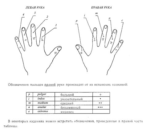 Левая и правая руки в медицине