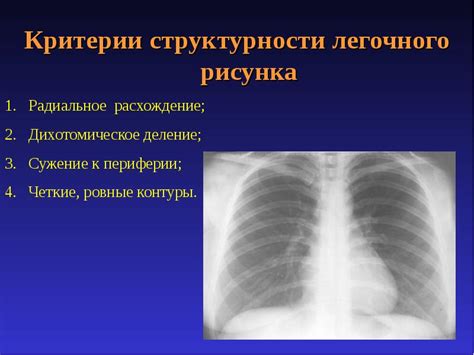 Левый корень уплотнен: что значит - понятие и значение