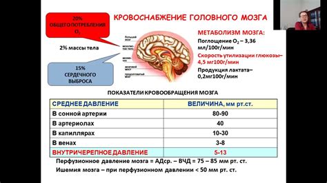 Легкая кома: что это значит?