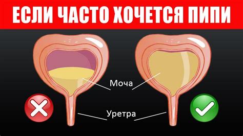 Лежащий больной и частые перемещения на туалет: причины и важность