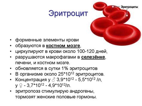 Лейкоциты 750: может ли это быть результатом воспалительных процессов?