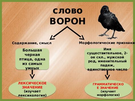 Лексическое значение "ловить ворон"