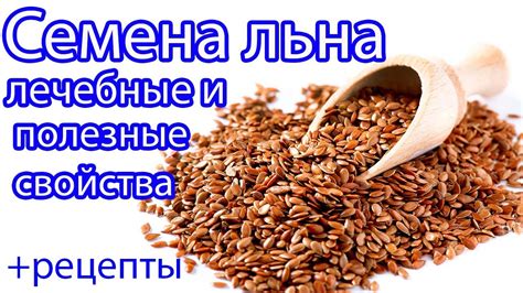 Лечебные свойства горного лена