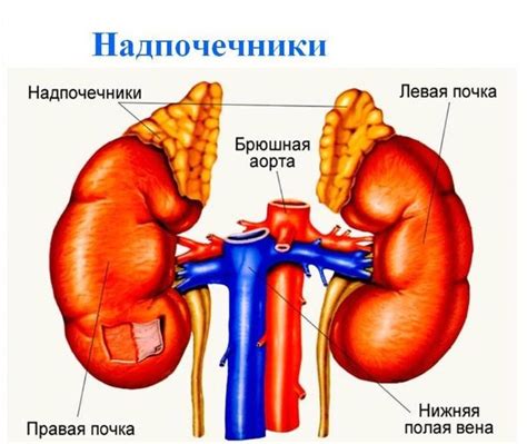 Лечение вздутия правого надпочечника: