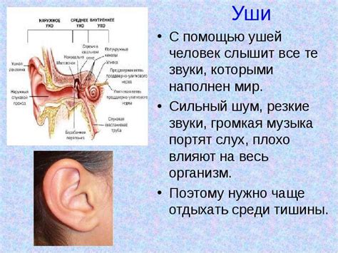 Лечение заложенности уха при насморке