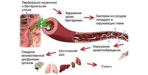 Лечение и предотвращение маленькой капельки крови