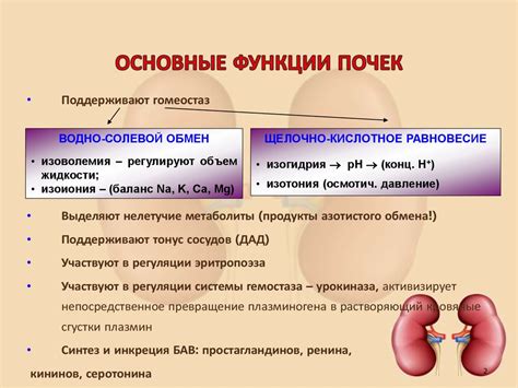 Лечение нарушения азотовыделительной функции почек