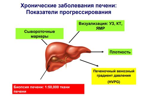 Лечение некровоспалительного процесса печени