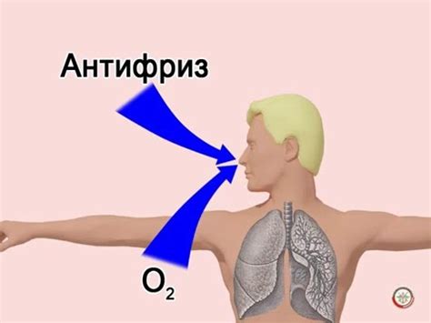 Лечение отрыжки газами: основные подходы