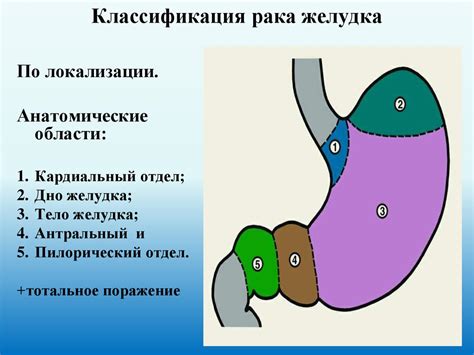 Лечение пролабирования кардиального отдела желудка